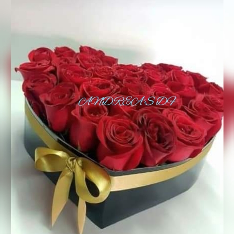 corazón en rosa roja